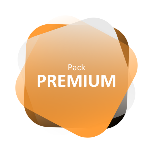 Création de logo | Pack Premium